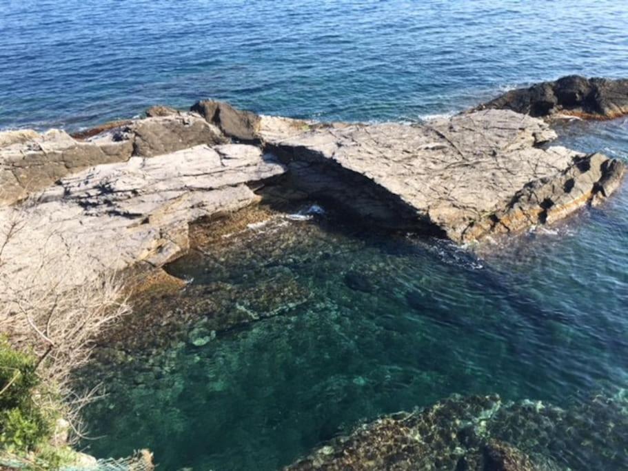 New Suite Sul Mare N. 2 Recco Dış mekan fotoğraf